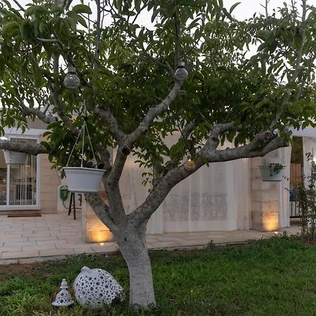 Lena Torre dell'Orso